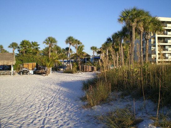 City Pizza Bar & Grill